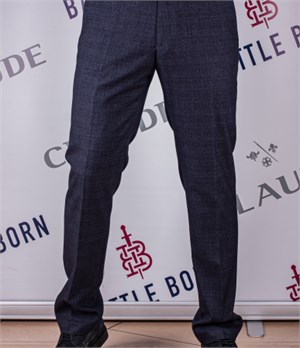 Брюки мужские Арт.4420 3229