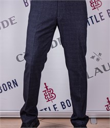 Брюки мужские Арт.4420 3229