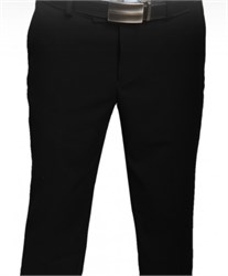 Брюки мужские Кумир классика 3264